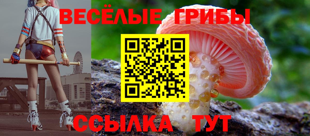 Псилоцибиновые грибы ЛСД Мытищи