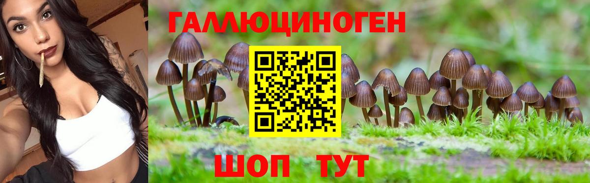 Галлюциногенные грибы Cubensis  Галлюциногенные грибы Psilocybe  Вход с VPN  Мытищи 